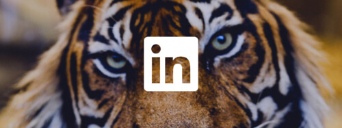 Content on LinkedIn how finance brands can win back trust
