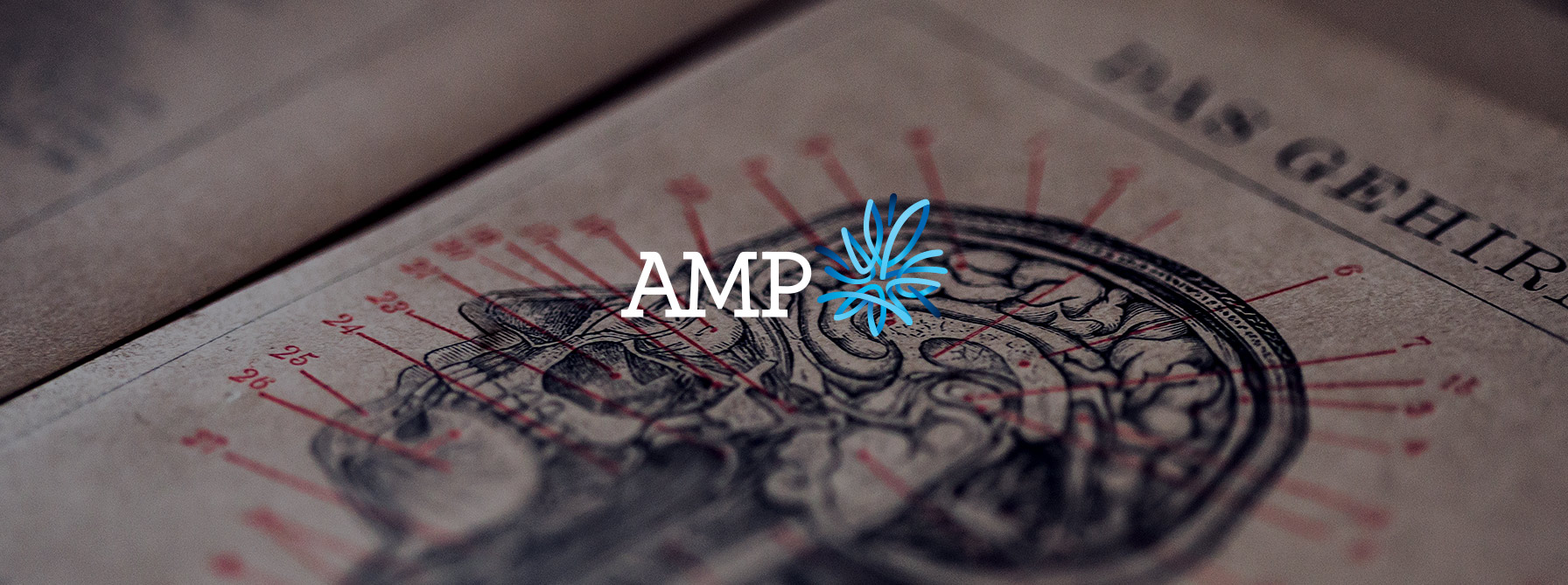 AMP and the royal commission